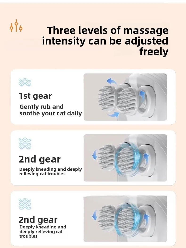 Top Picks: Best Cat Toys & Comfort Essentials for Play, Exercise, and Relaxation