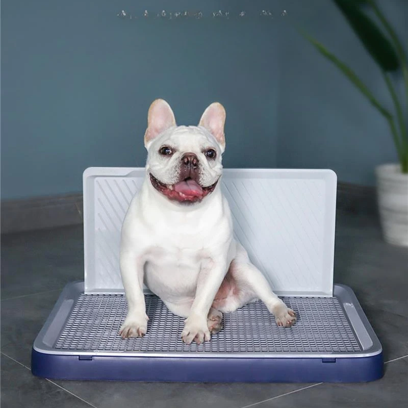 Potty Cleaner Pool Supplies Dog Toilet Grooming Poop Bags Portable Walking Dog Toilet Scooper Piscine Chien Pet Products Rr50Lh