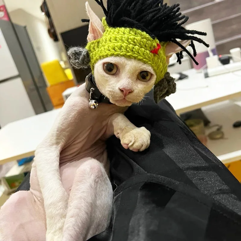 Punk Style Cat Hat Kitty Cosplay Braided Headwear Hairless cat outfits