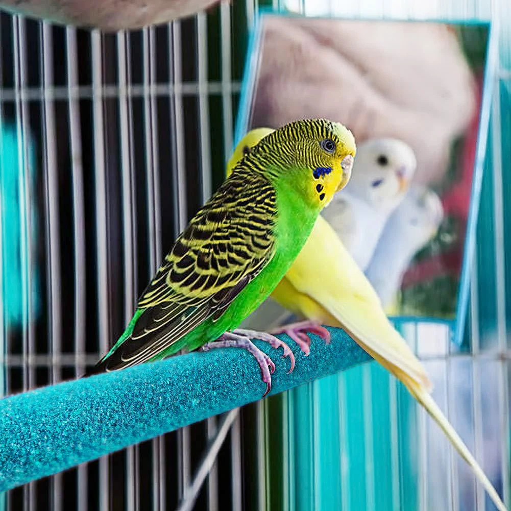 Wood Bird Claw Beak Grinding Bar Standing Stick with Bell Parrot Station Rod Perch Stand Toy Bird Cage Accessories bird cage perches