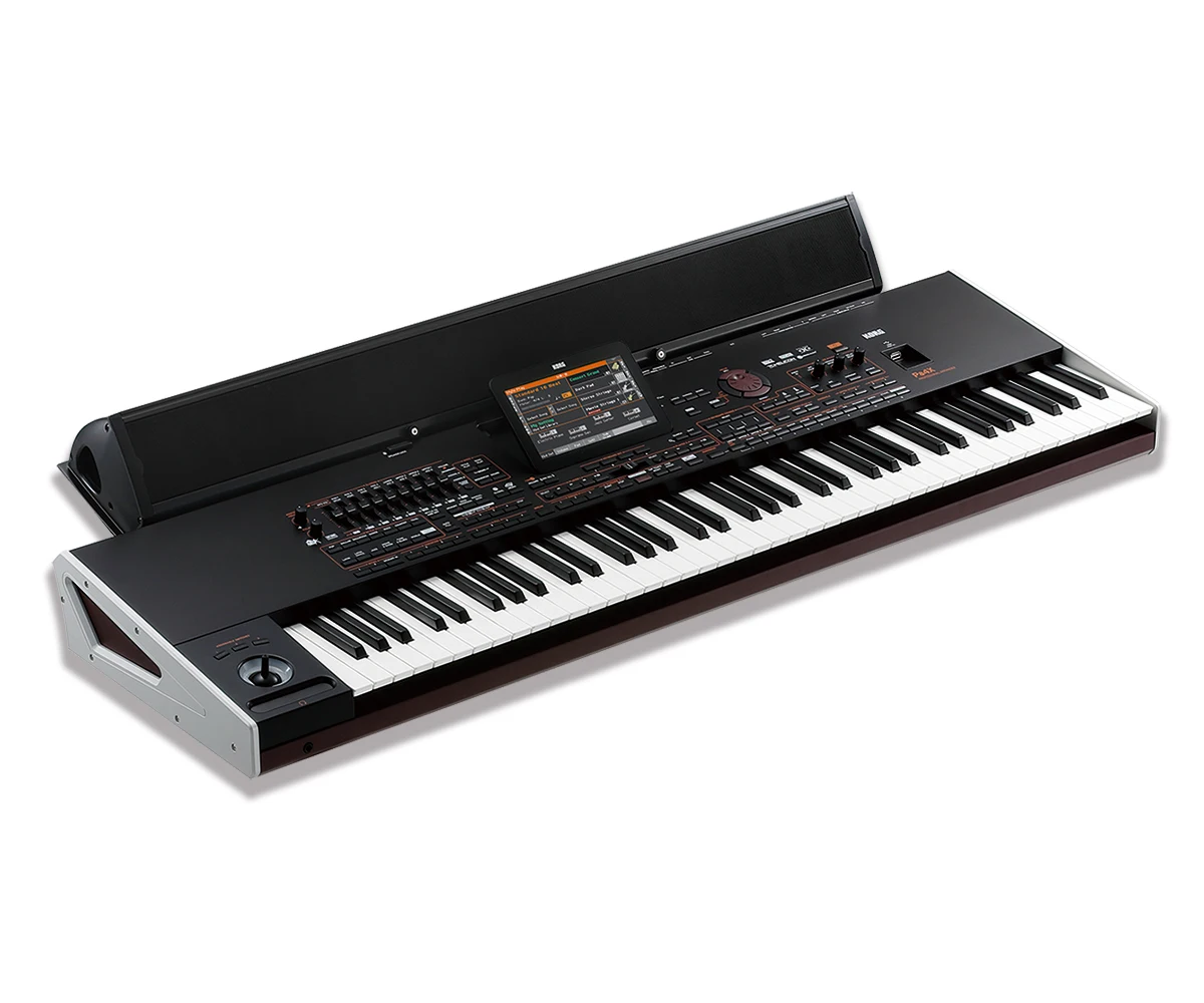 

Клавиатура Korg Pa4x 76 с акустической системой PaAS