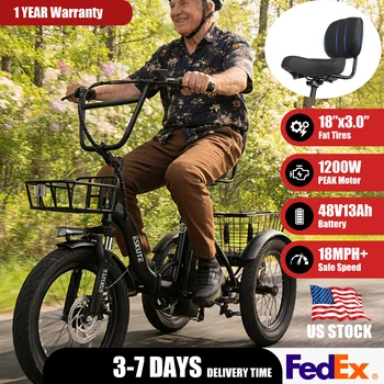 Electric Fat Tire Trike 1