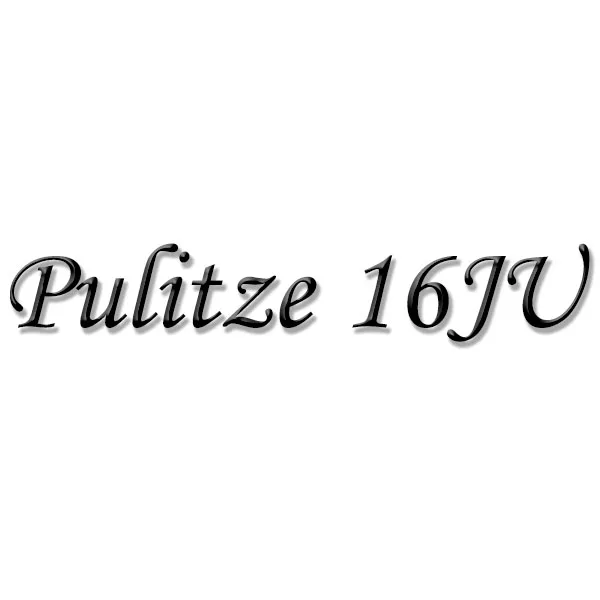 Pulitze 16JU Store