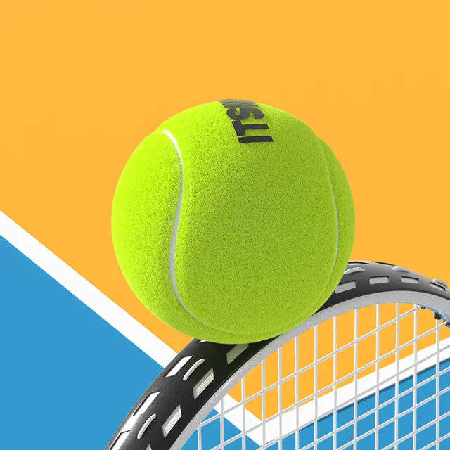 6/12pcs Tennis Balls with Mesh Carry Bag Practice Ball High Elasticity Pet Dog Playing Balls Outdoor Training Sports Competition 2