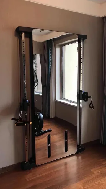 Wall Mounted Dual Cable Pulley System 2