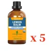 LEMON BALM GLYCERITE 1 OZ:01504 6