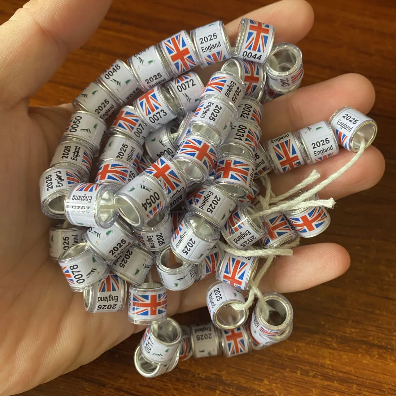 Pigeon Rings 8mm Bird Rings England 0001-0100 with UK Flag and pigeons pictures bird foot rings