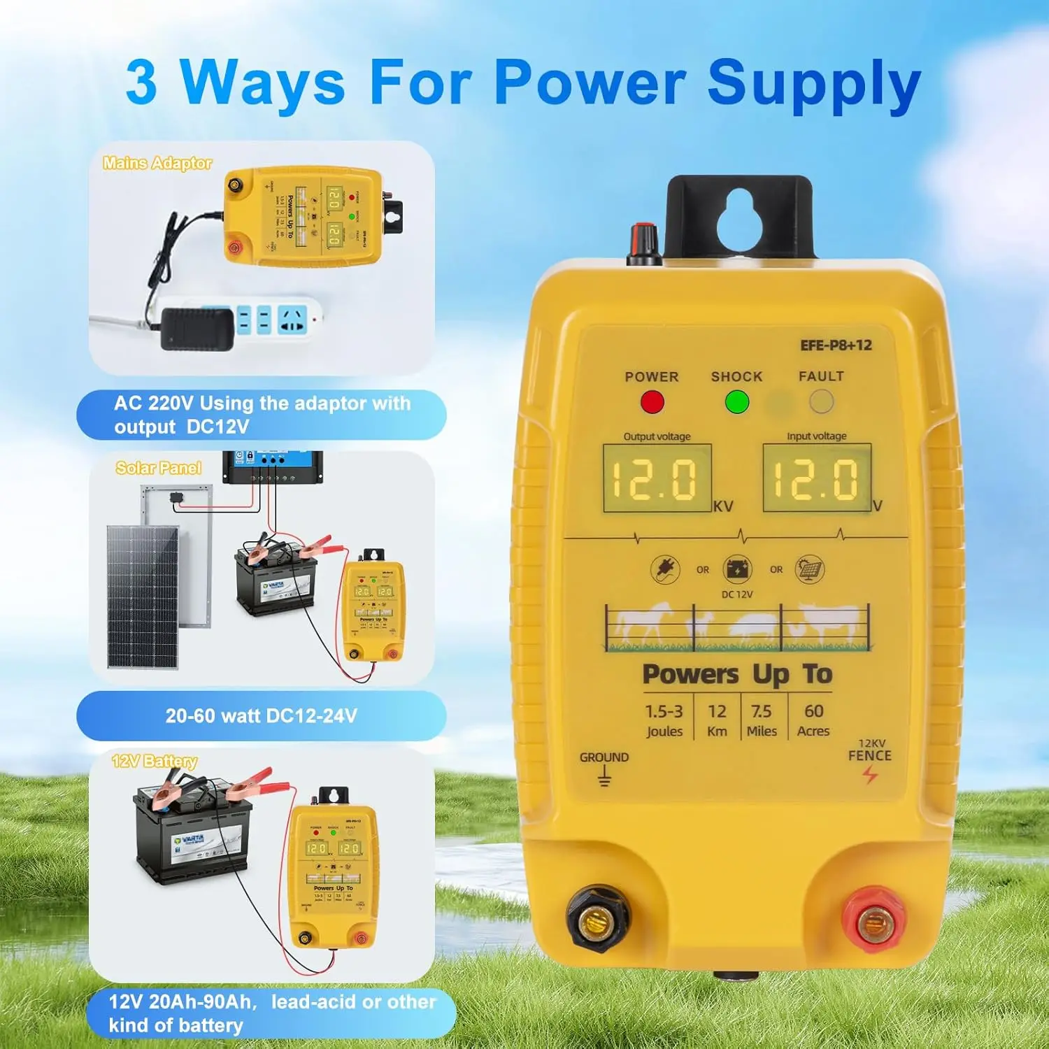 dsc-products