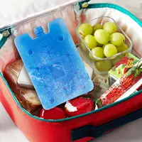 Climatiseur Portable, ventilateur, boîtes en cristal de glace, sac de glace, congélateur réutilisable, Pack de refroidissement sur glace pour le stockage des aliments frais, réfrigération 2