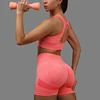 2 Pcs Yoga Set Women Hollow Back Sports Bra+Hip Lifting Sports Shorts Workout Set Seamless Fitness Gym Set Sportswear Tracksuit 3
