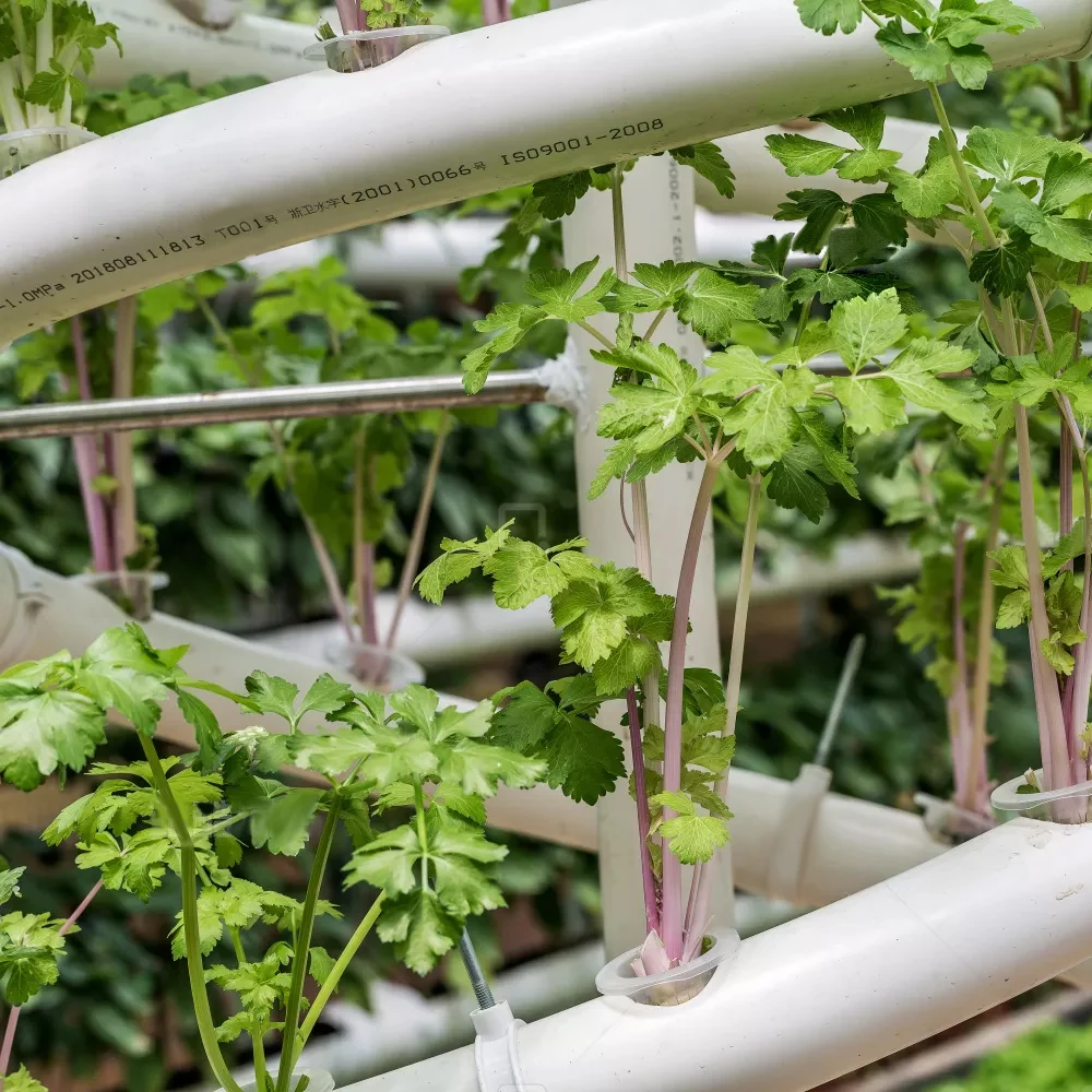 Set da pranzo da giardino 5 pz rete metallica antracite | Leroy Merlin