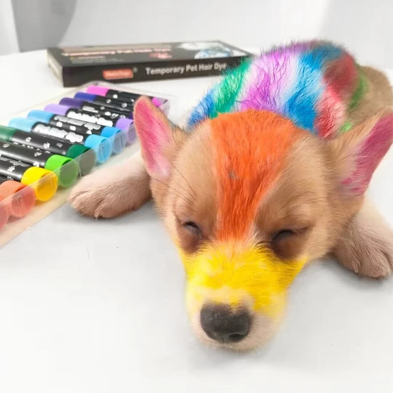 12Colors Pets Temporary Colors Beauty Hair Care Pet Hair Dye Washable Safe Hair Dyeing Pet Grooming Kit Pets Temporary Color 3