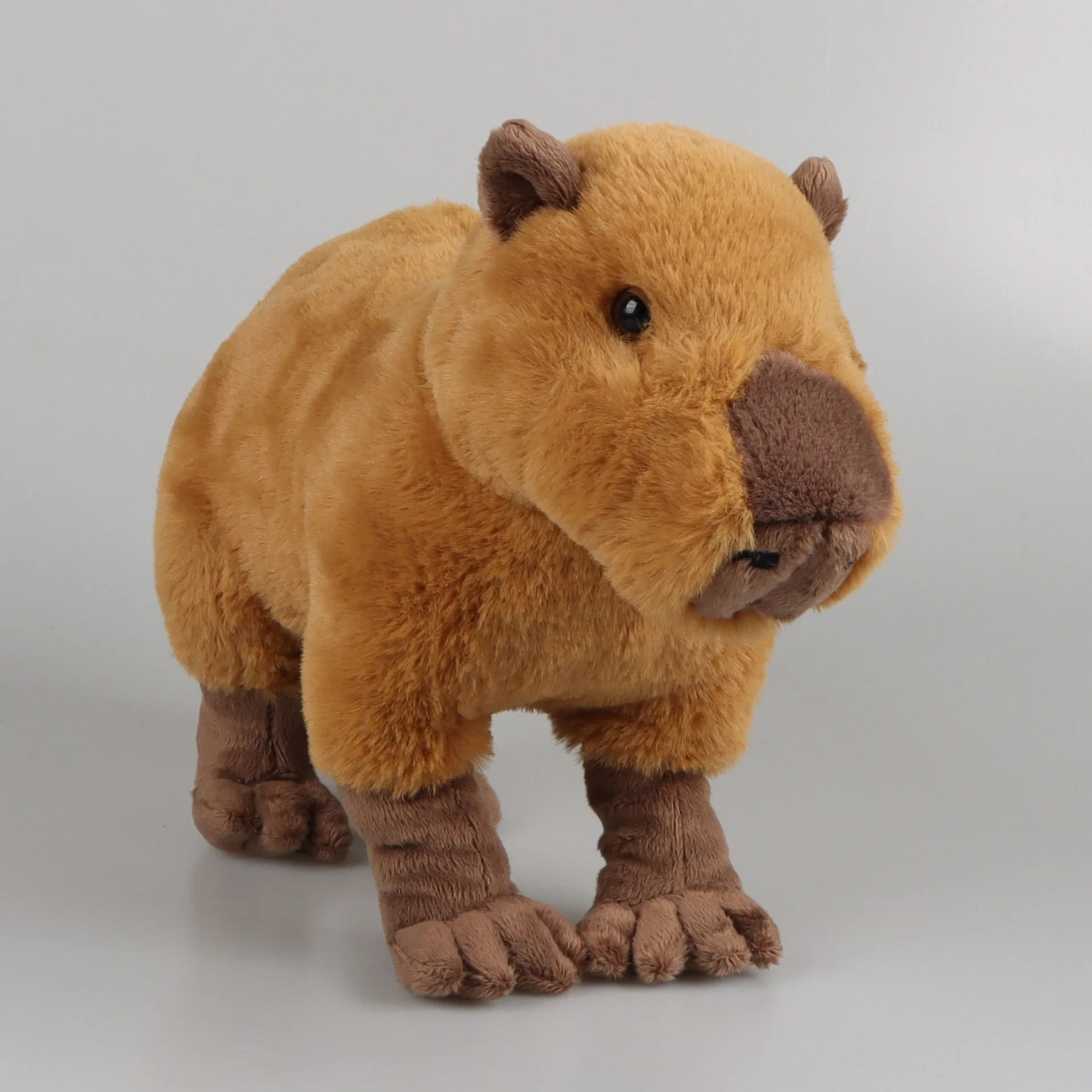 30cm realista Capybara Pelúcia Brinquedo Presente de Desenho animado para o  aniversário das crianças