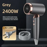 New Product: Quick Drying Hair Dryer, Hair Salon Specific High-Power Constant Temperature Blue Light Hair Care Hair Dryer, EU/US 1