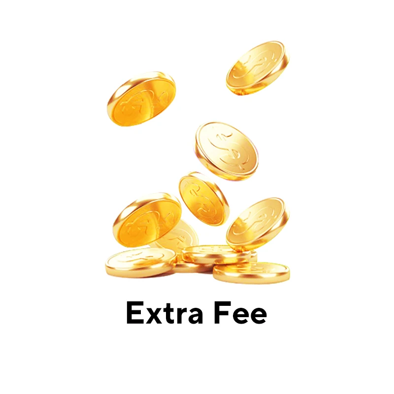 Extra Fee - Aliexpress Standard Shipping