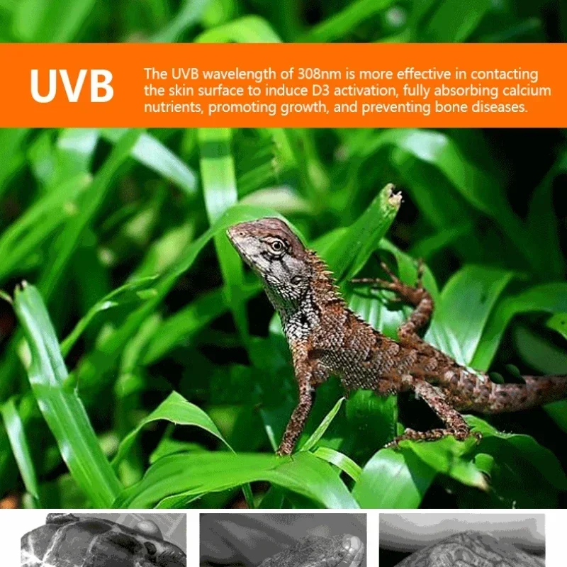 with Clip-on UVA+UVB Full Spectrum Sun Lamp Bulb for Tortoise Supplement Calcium Pet Box Lighting 110-240V Turtle Basking Lamp