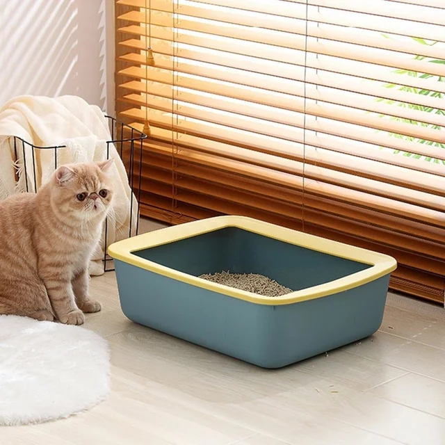 Cat Litter And Pregnancy Risks, And How To Change It