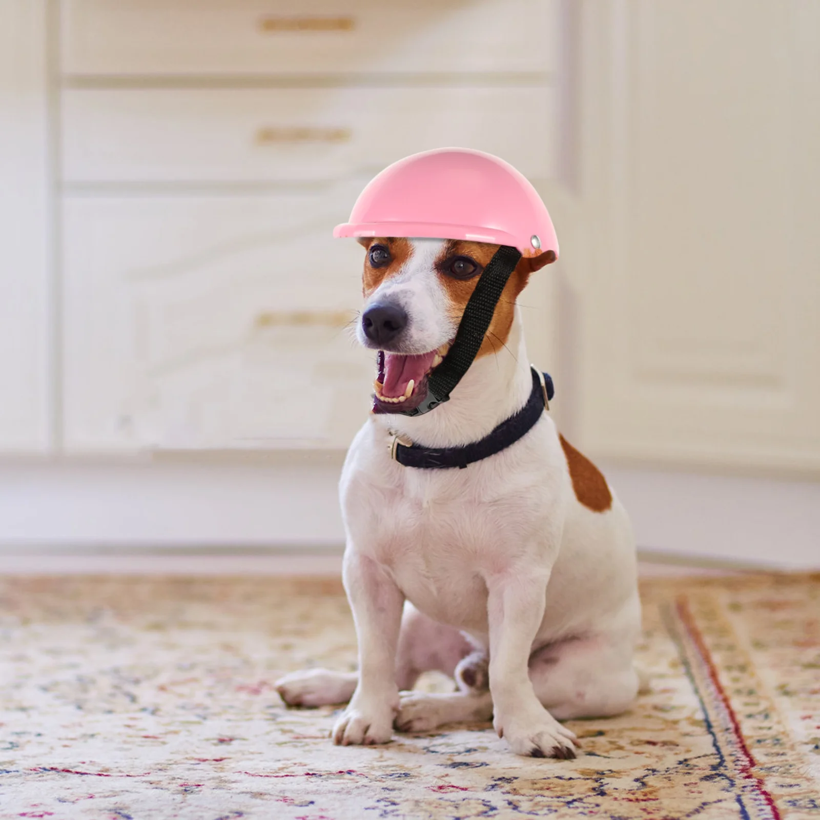 

Pets for Small and Medium Dogs: Sunproof and Adjustable Safety Hat for Riding