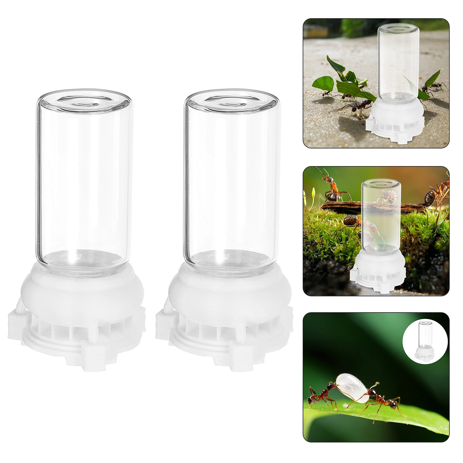 

Ant Water Feeder Farm Water Bowls Mini Liquid Feeder Ant Feeding Box Micro Animal Liquid Feeder Ant Nest Accessories