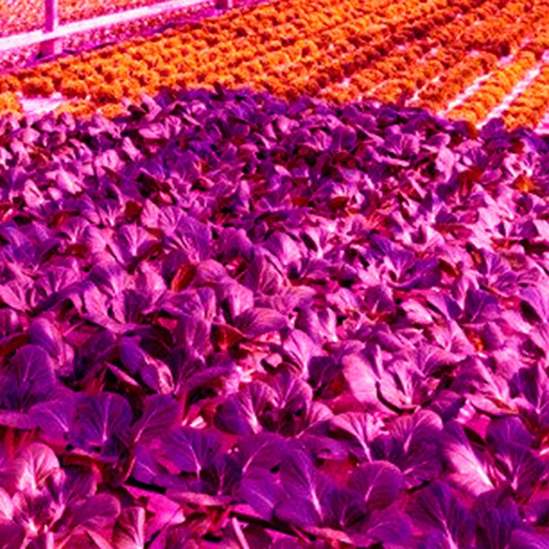 Slide image 57fac760c15b4008b3bda58fa1a36f77