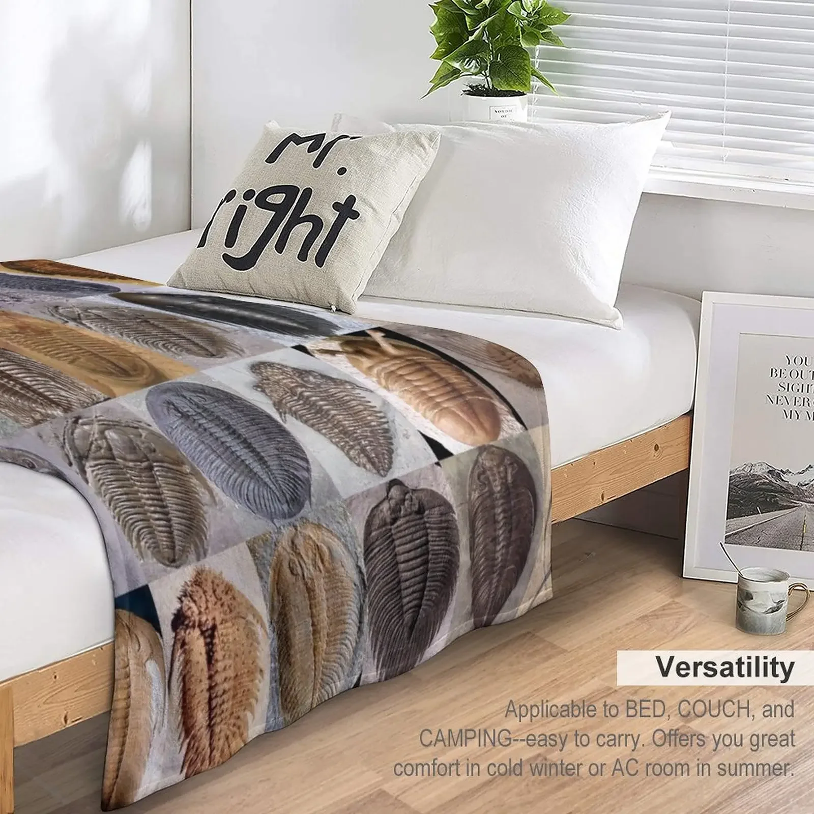 �￱�� ������ ���, �ε巯�� ���� ����, ��� ħ��