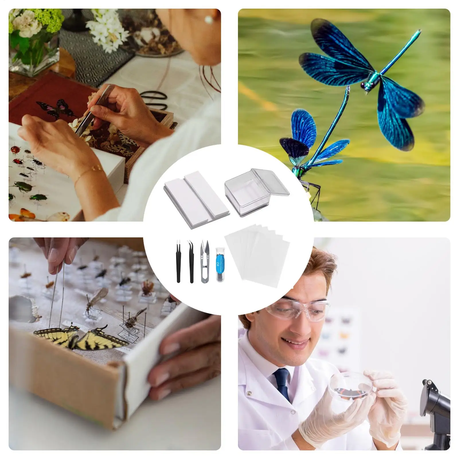 Insect Specimen Making Tool Insect Pin Wing Plate DIY Butterfly Specimen Tools Specimen Display Accessories Set for Butterfly 4