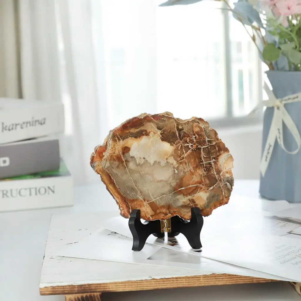 Natural Petrified Wood Slab Specimen With Wooden Stand Irregular Minerals Healing Figurine Table Display For Home Decoration