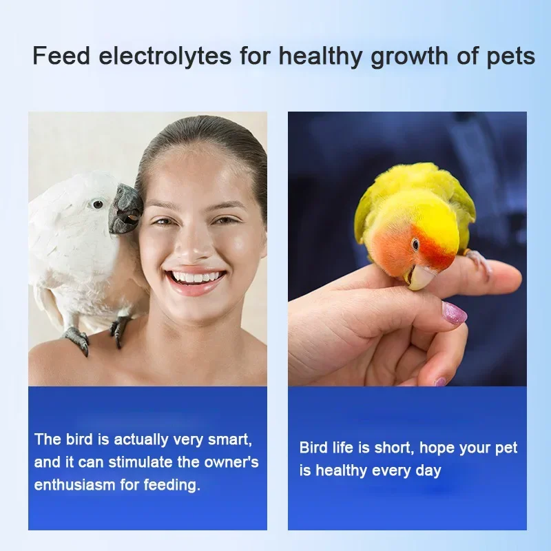 Pigeon parrot electrolysis multivitamin vitamin anti-stress electrolyte trace element amino acid