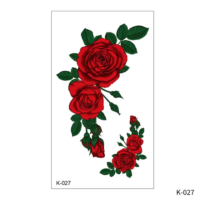 Image 33