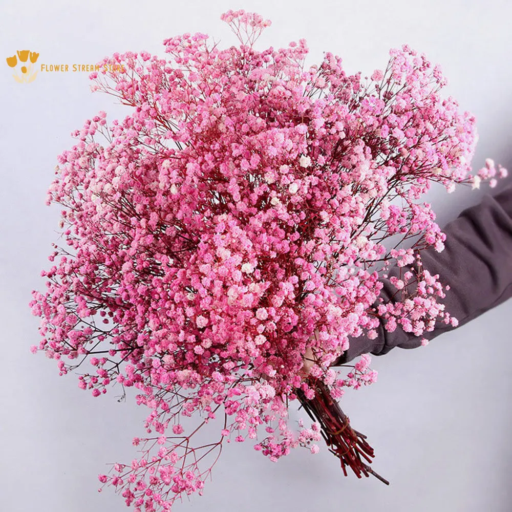 Flores secas naturales conservadas flores secas Gypsophila bebé aliento  millones estrellas ramo de flores secas decoración de la boda planta  natural