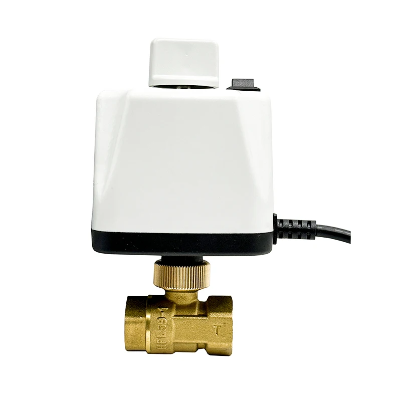 

1/2" 3/4" 1" 2" Normally Closed Motorized Ball Valve 220V 12V 24V 2-Wire Brass Electric Ball Valve With Manual Switch