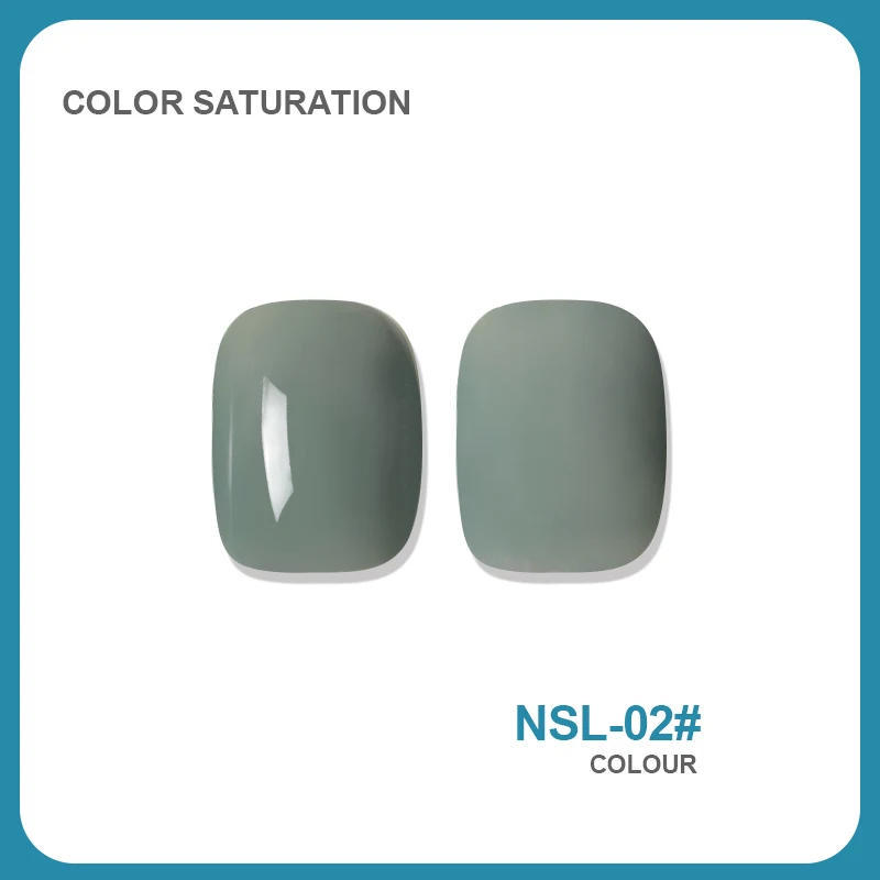 NSL 2