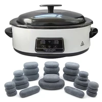 220V Massage Stone Heater Stress Back Pain Relief Health Care Lava Basalt Massage Stone Heating for Beauty Salon SPA Center 1