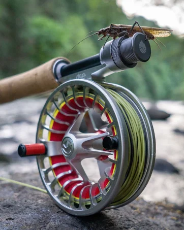 fly reel
