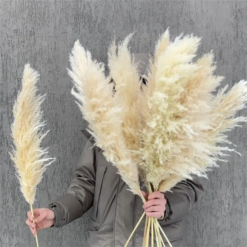 80Cm Large Pampas Grass Flowers Bouquet Fluffy Dried Floral Decoration - 5Pcs