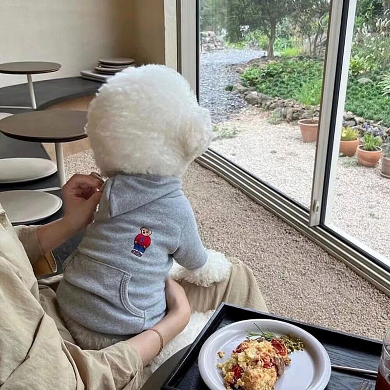 단색 반려동물 후드, 곰보다 통기성 여름 옷, 포메라니안 자외선 차단 옷, 자수 곰 강아지 옷