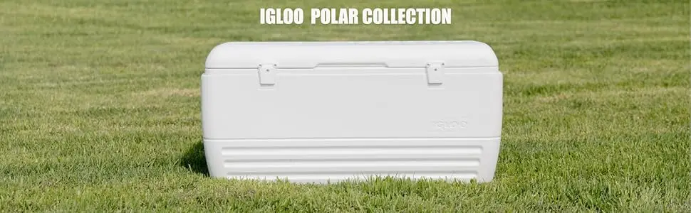 Hard Cooler Igloo Polar 120Qt