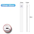 Silvery 30CM