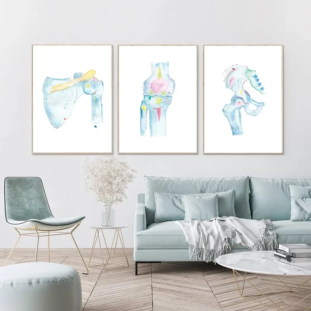 Tríptico De Arte Anatómico Humano En Lienzo – 3 Piezas De 40x50 Cm, Sin Marco, Decoración Para Consultorios O Hogar