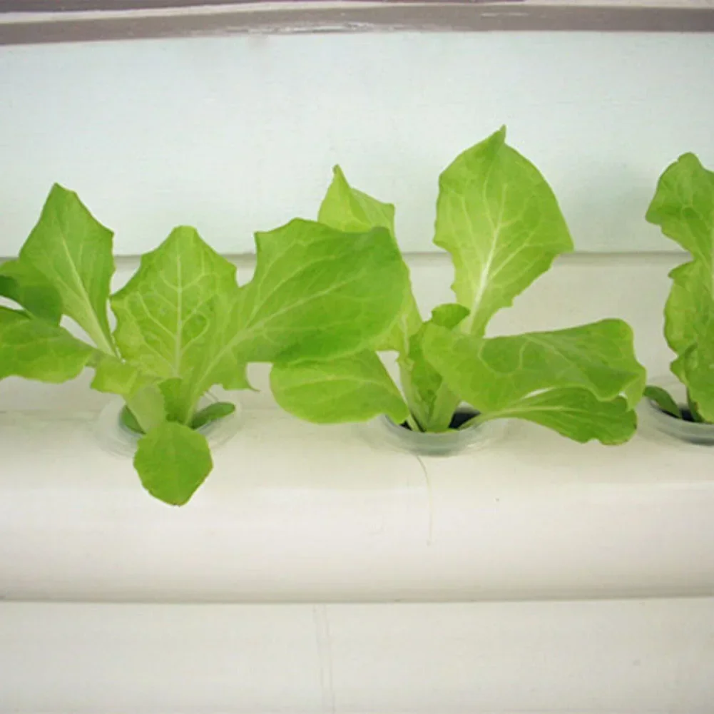 100PCS Soilless Hydroponics Sponge 30mm*40m For Fruits, Beans, Vegetables, Grains, Flowers Sponge Cultivation Tray