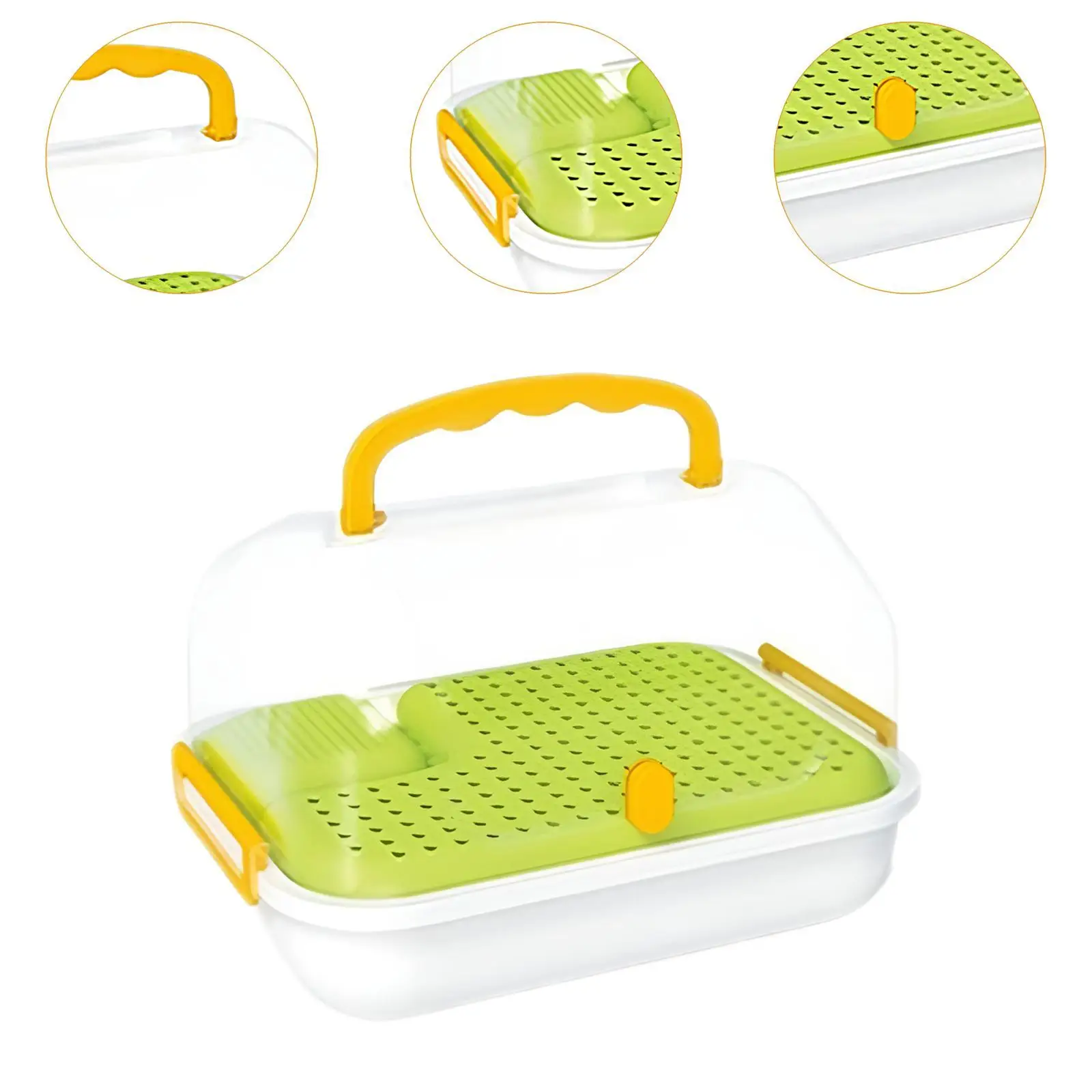 Turtle Tank Amphibians Multifunction Areas Tortoises Case Turtle Terrarium for Snail Butterflies Horned Frogs Turtle Silkworms