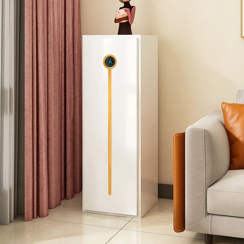 

Disinfection and sterilization shoe cabinet for household doorstep storage, saving space, shoe rack for entering the household