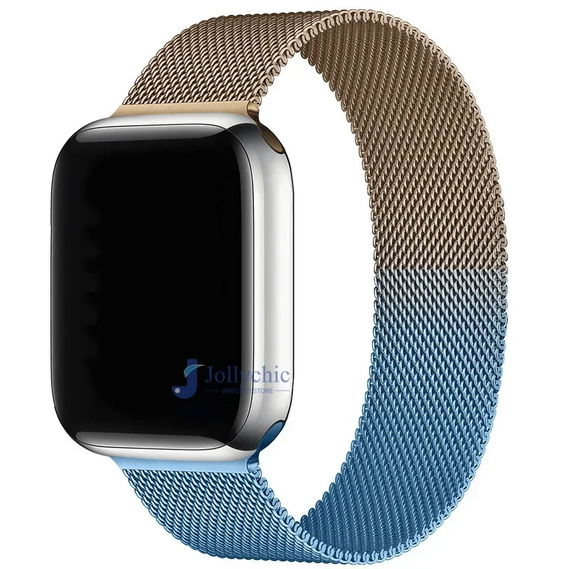 Magnetic Stainless Steel Loop Strap