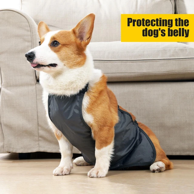 Dog Belly Cover Breathable Dog Cloth Anti-Dirty Waterproof Belly Bands  Washable Pet Cloth Indoor Outdoor Dog Apron Pets Costumes - AliExpress