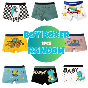 Dinosaur Boxer Briefs 9
