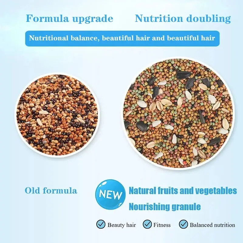 Bird food parrot feed oil sunflower bird feed parrot food bird
