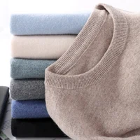 Spring Autumn New Cashmere Sweater Men's First Line Round Neck Knitted Pullover 100% Merino Wool Thin Bottom Shirt Basic Style 1