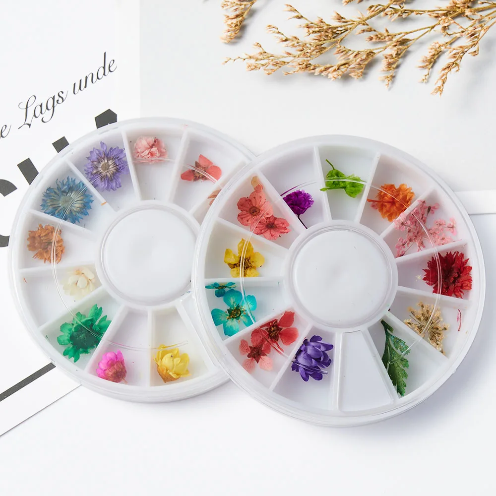 

1Box Gypsophila Daisy Dried Flower Nail Charms Natural Real Dry Flowers Sunflower Design DIY Nail Applique 3D Nail Decoration