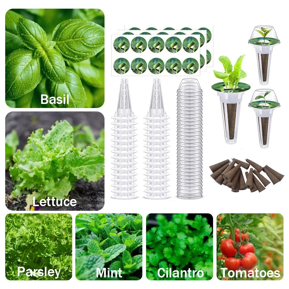 Transparent Wheatgrass Sprouting Tray Multifunctional Set Plant Trays Plastic Convenient Observation for Outdoor Indoor Supplies