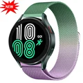 GRE purple 24